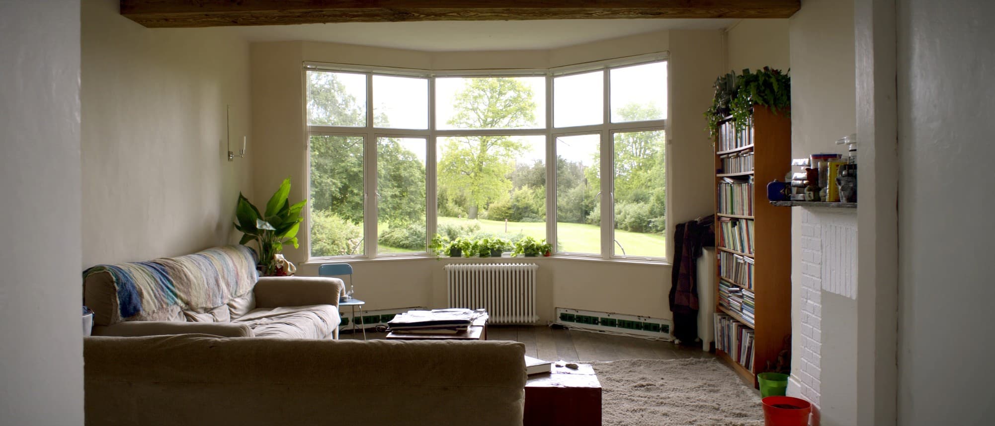 A comfortably settled British living room in bright afternoon light, a well-used sofa, a full bookshelf and houseplants on the windowsill